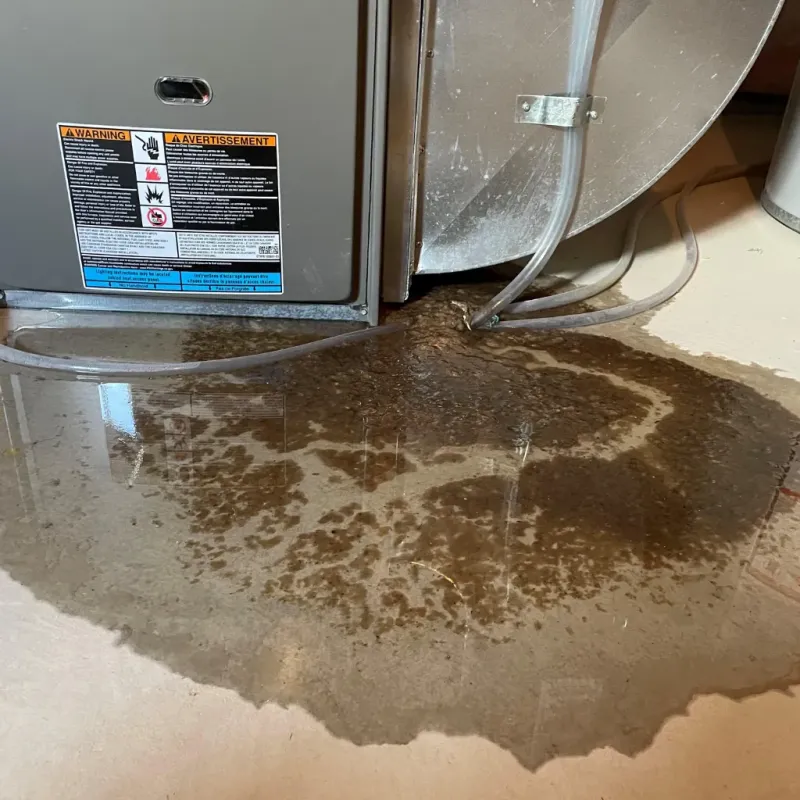 Appliance Leak Cleanup in Brusly, LA